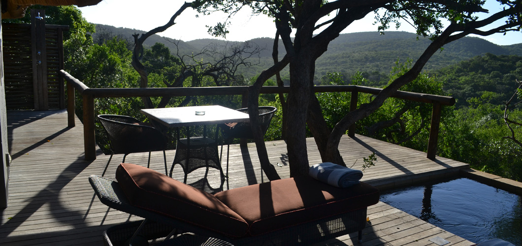 Our own private plunge pool with a view!