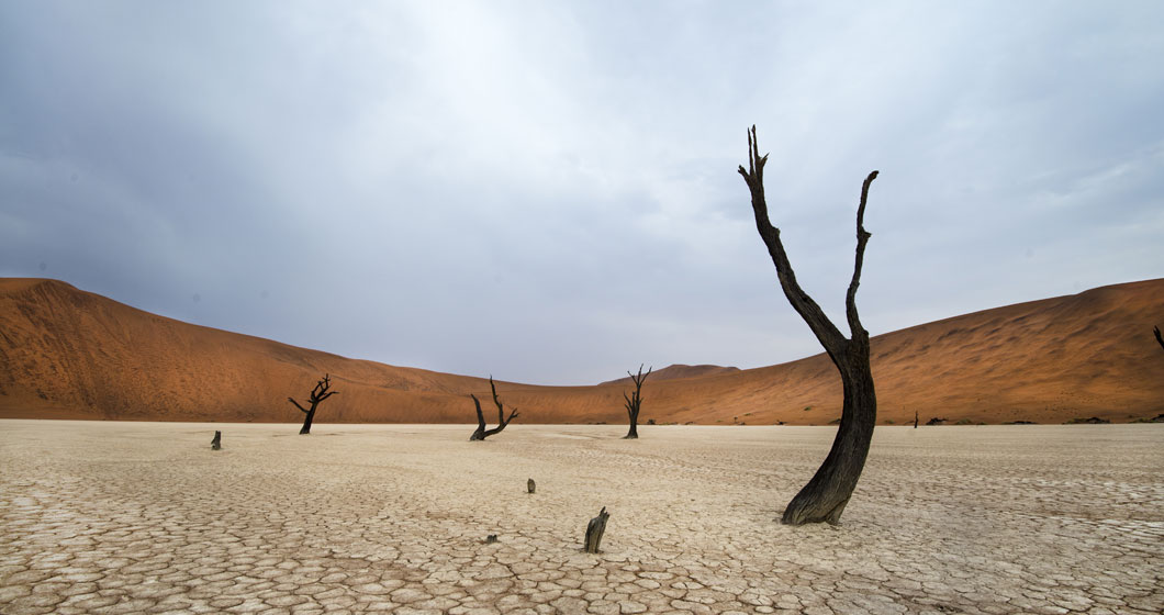 Deadvlei | Sossusvlei, Namibia