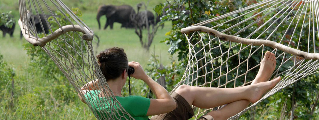 Go Wild in Botswana...