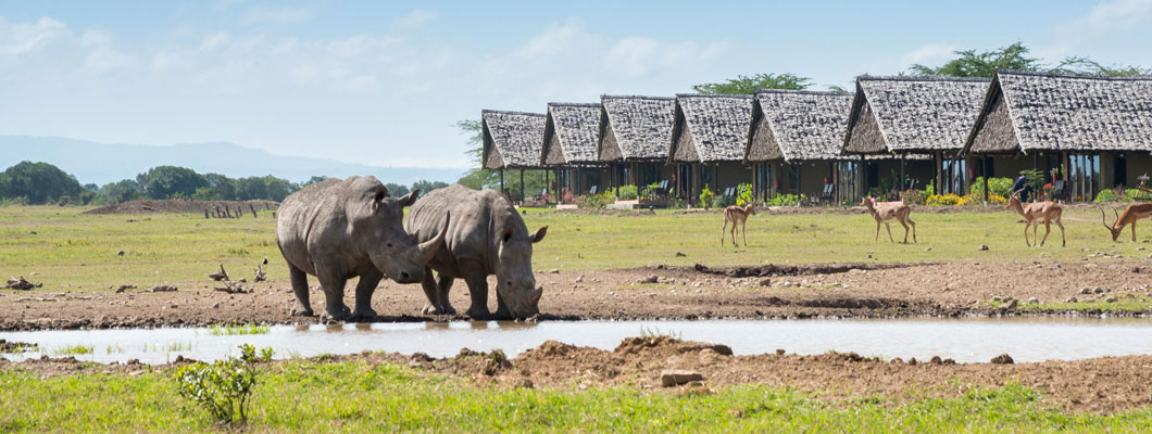 Make tracks for magical Kenya...