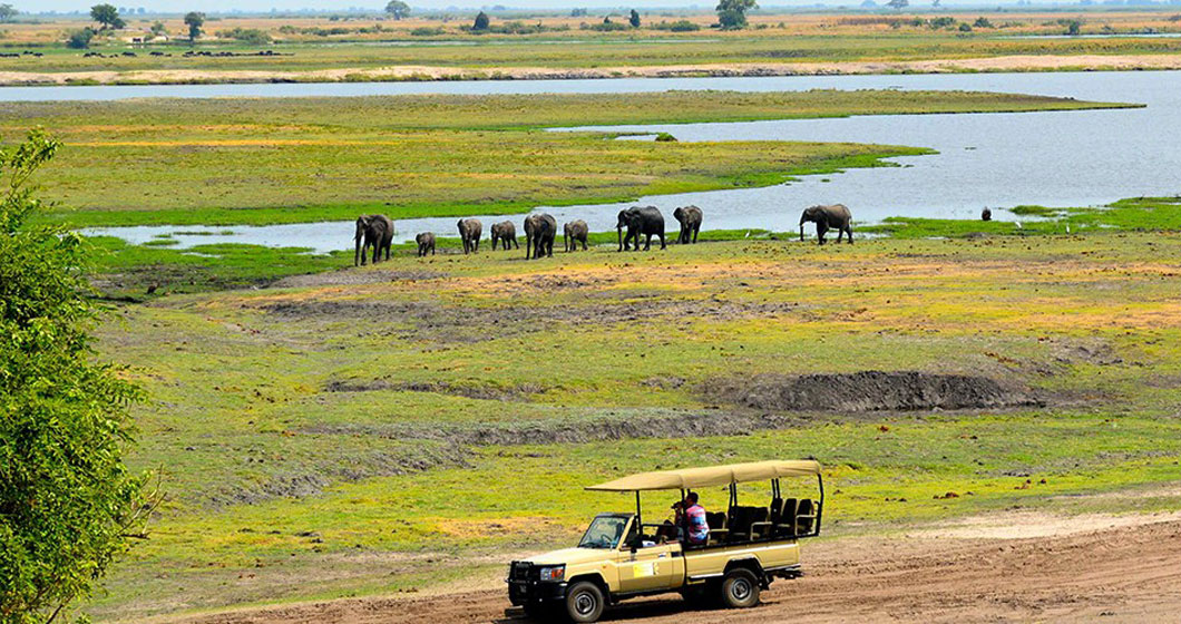 Chobe Day Tour