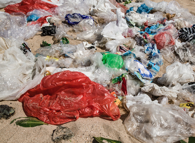 Kenya Bans the Plastic Bag | Bench Africa