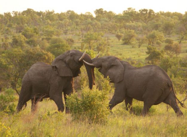 Small Group South Africa