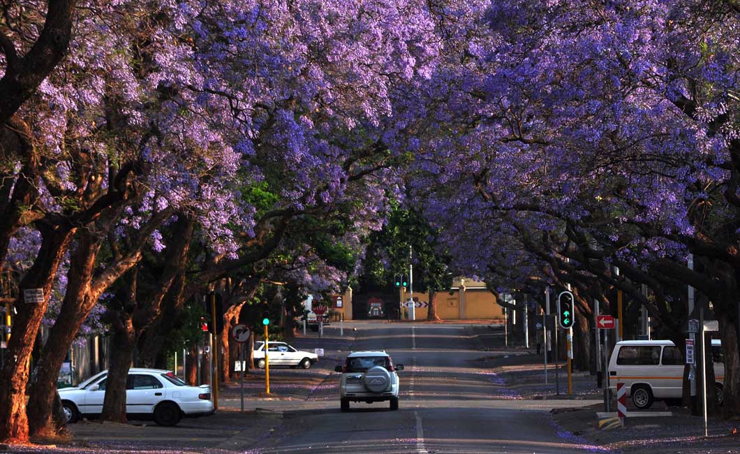 Pretoria City Tour