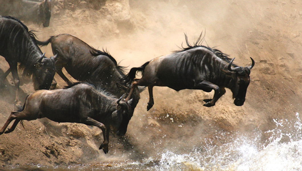 Migration Safari Masai Mara