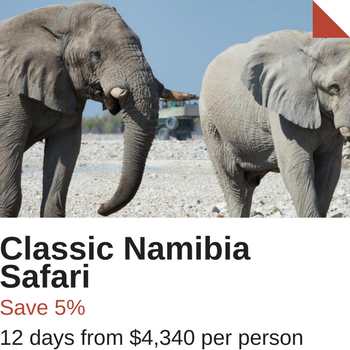 Namibia Special Offer tour