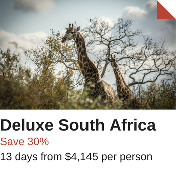 Deluxe South Africa Sale