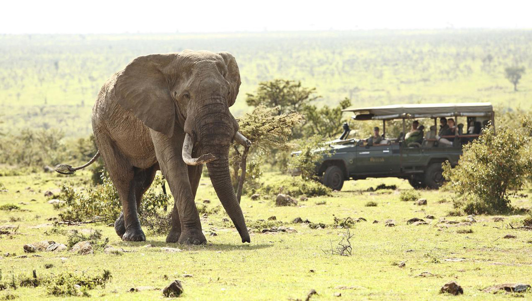 Experience an 'authentic' safari in Kenya and Tanzania