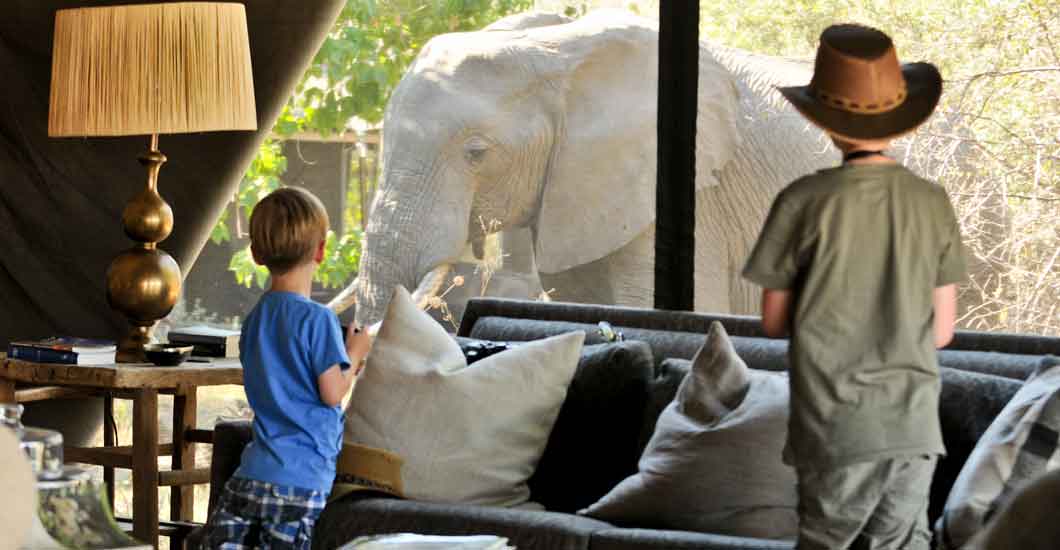 4. They will never forget seeing their first wild elephant or lion. 