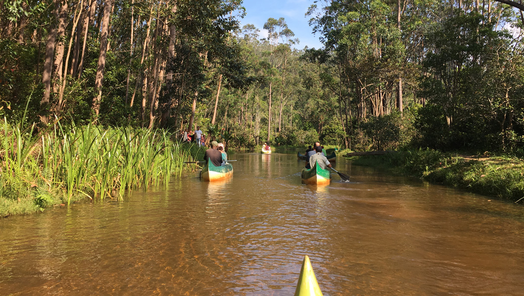 Our Madagascar Travels: A Canoe Ride in Andasibe National Park