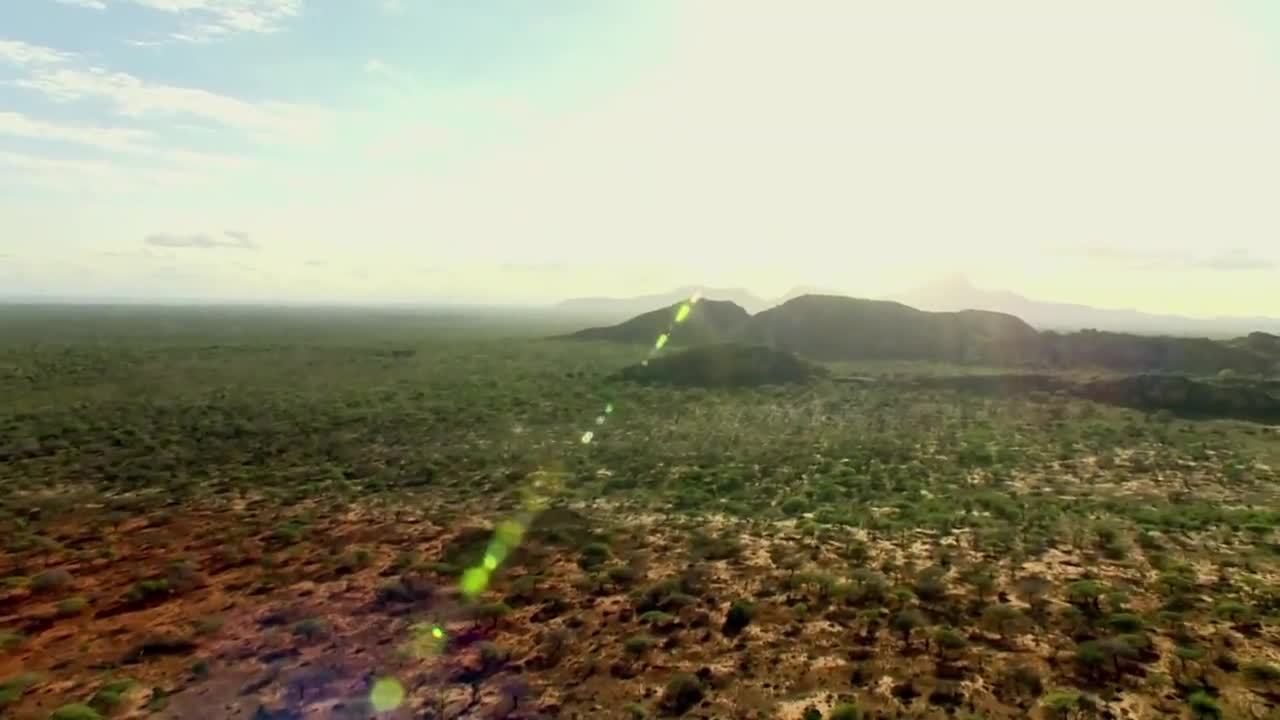 Wildlife Works, Kenya
