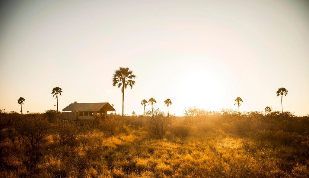 Camp Kalahari is one of only three camps in a one million-acre private wildlife reserve, with just 12, Meru-style tents set amongst the palms.