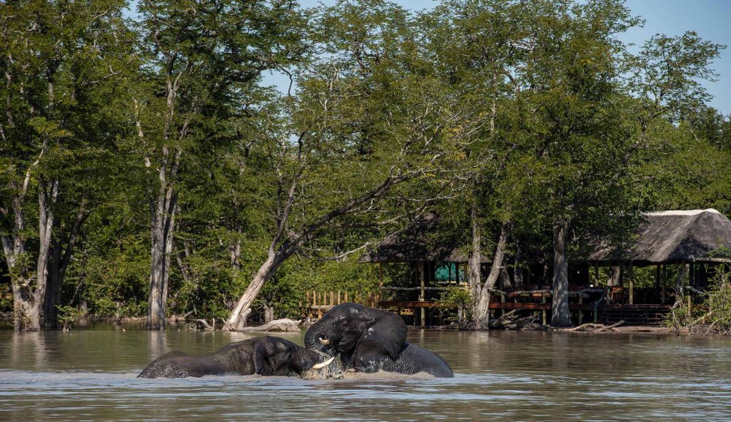 Located next to the only permanent source of water for miles around (a magnet for wildlife – elephant in particular), you don’t even need to leave the comfort of your room for top-notch wildlife-watching.