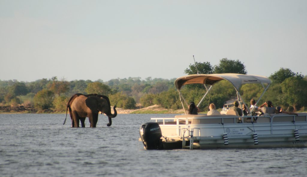 watch the ellies come to drink at the water – a memory you won’t forget in a hurry!