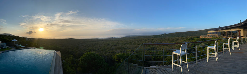  Getting back to nature and relaxing at the luxury Grootbos Private Nature Reserve.