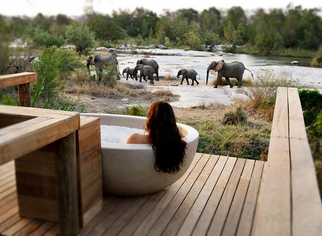 Africa is one of the most romantic places in the world. Where else can you relax in a secluded bathtub on the balcony of your room and watch the birds (and bees) and maybe even catch a glimpse of an elephant replenishing itself from your personal swimming pool. Just hope the elephant doesn’t try and drink from the bath you’re sitting in. It’s common that honeymoon couples are placed in the room furthest away from reception as these rooms are secluded and out of the view (and earshot) of other people. If standing on your balcony in the nude is what you want to do, then why not? Although be warned, baboons do have very judgemental glares.