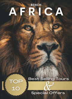 Africa Travel Special Offers