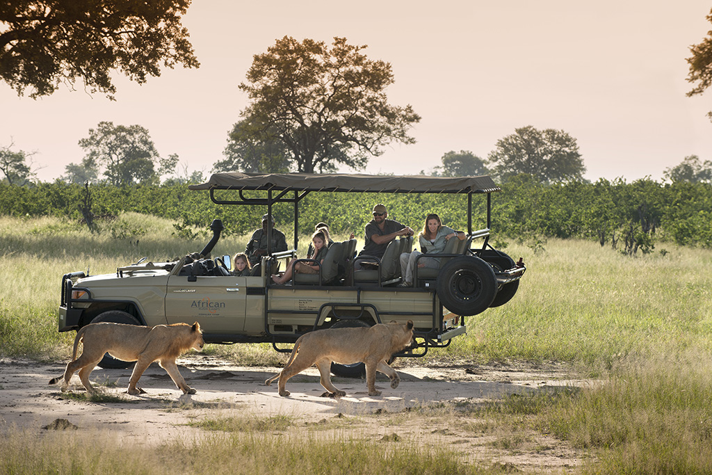 Family Friendly Safaris Africa