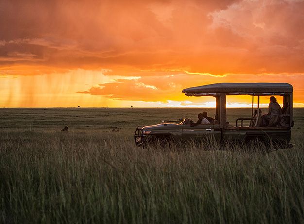 Masai Mara Game Drive